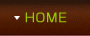 ホーム